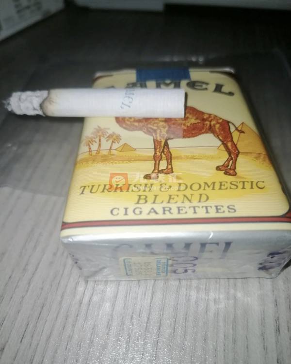 骆驼(无嘴)相册 2227_46930