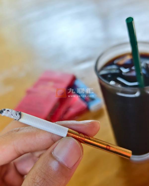 芙蓉王硬红带细支相册 92797_83767