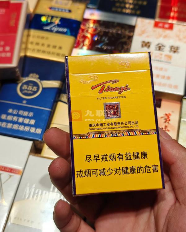 天子金相册 92653_70663