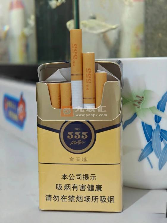 三五(金天越)相册 114817_10475