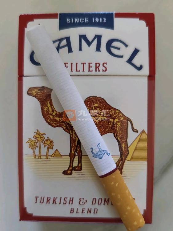 骆驼(硬黄)相册 94811_27284