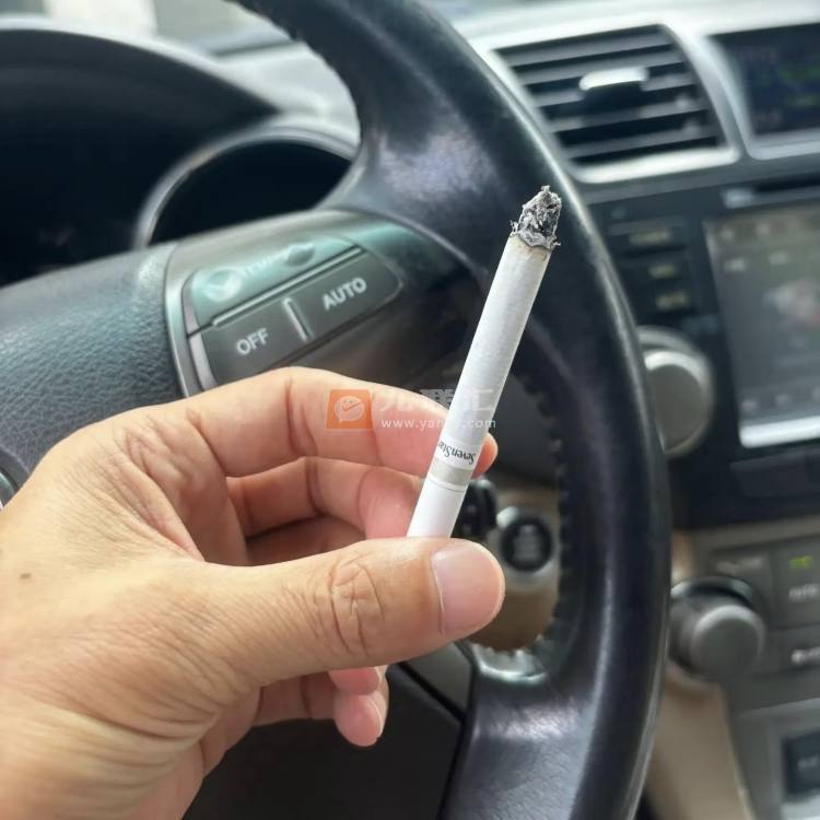 七星(软14mg日版)相册 94391_99953