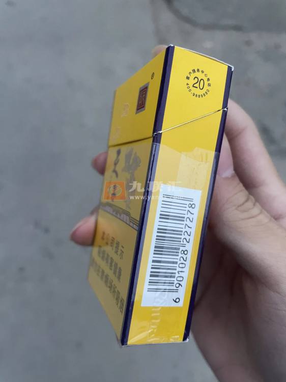 天子金相册 92653_61314