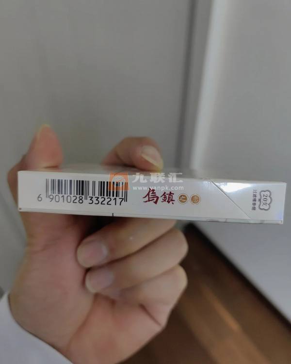 云烟(乌镇之恋中支)相册 95035_28036