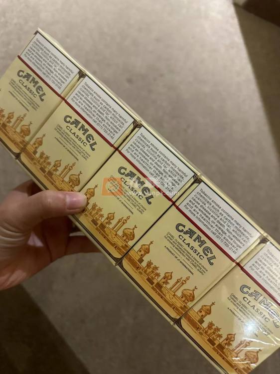 骆驼(硬黄南非版)相册 114208_34853