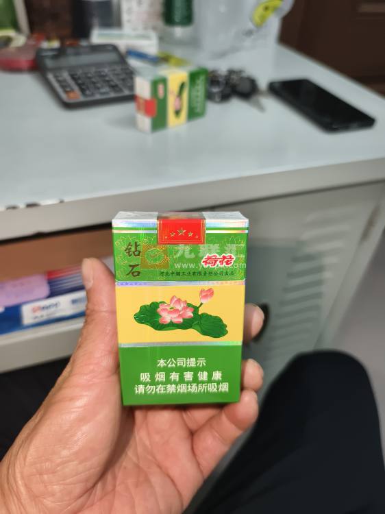 钻石(荷花)相册 3033_11733