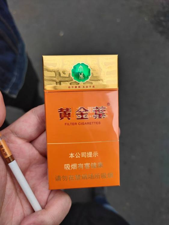 黄金叶(大成细支)相册 114973_83405