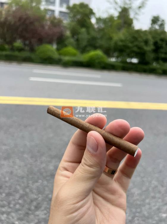 黄鹤楼(梦之韵8号)相册 115074_90897