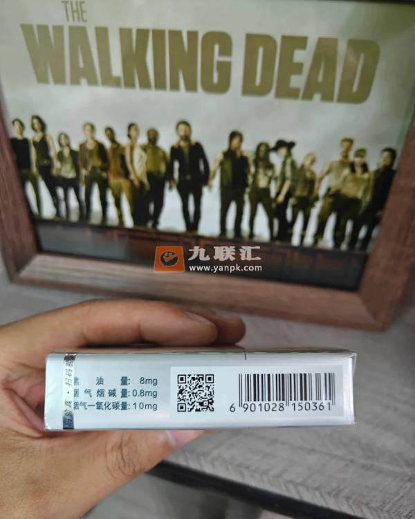 泰山(望岳)相册 1181_79345