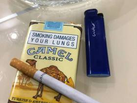 骆驼(软黄南非含税版)