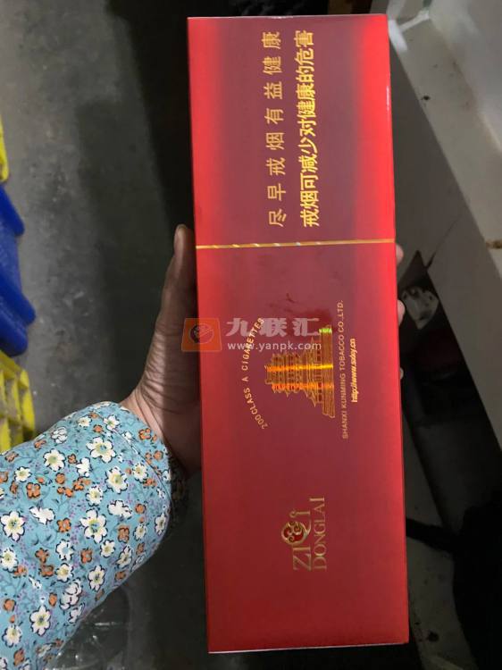 紫气东来(鹳雀楼)相册 113933_74385