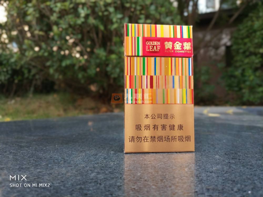 黄金叶(金炫尚)相册 103101_19865