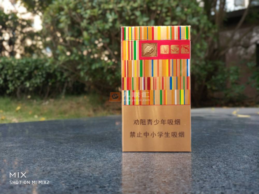 黄金叶(金炫尚)相册 103101_17890