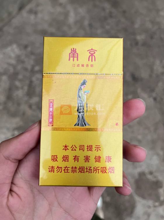 南京(金陵十二钗烤烟)相册 1107_86030