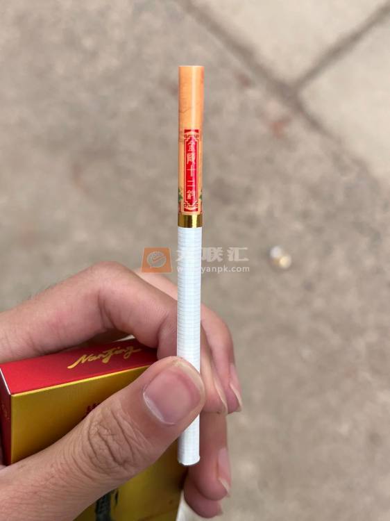 南京(金陵十二钗烤烟)相册 1107_56535