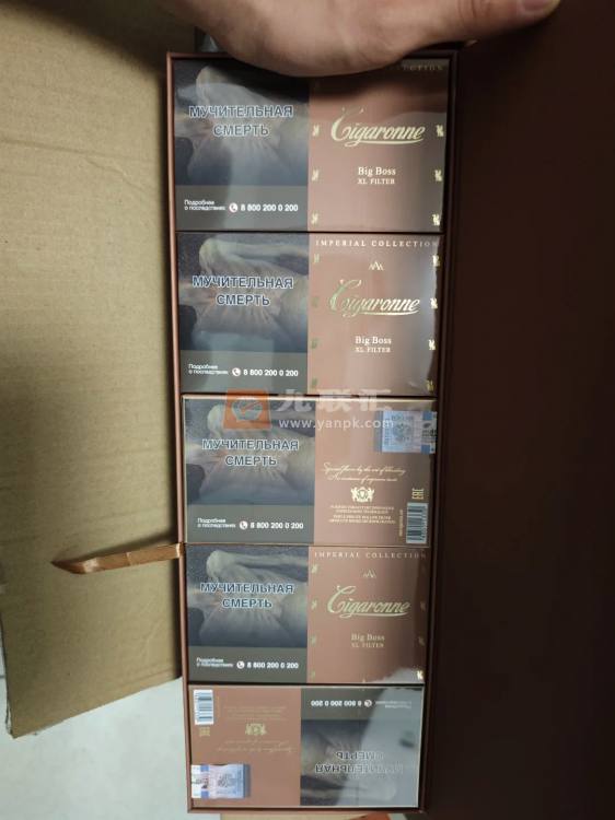 卡比龙(总裁棕色俄罗斯版)相册 114830_51715