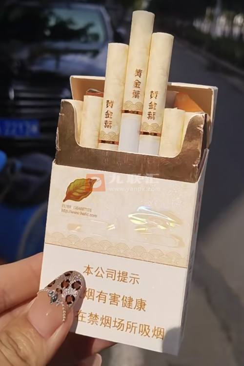 黄金叶(天香升级版)相册 95800_53228