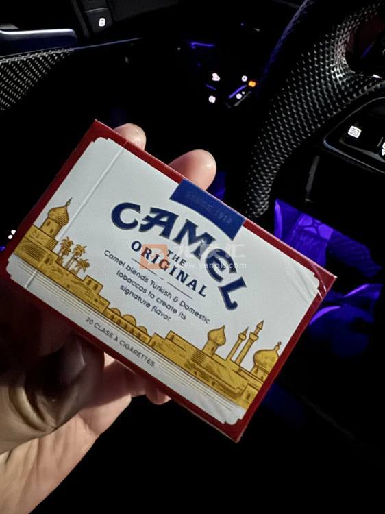 骆驼(硬黄)相册 94811_21848