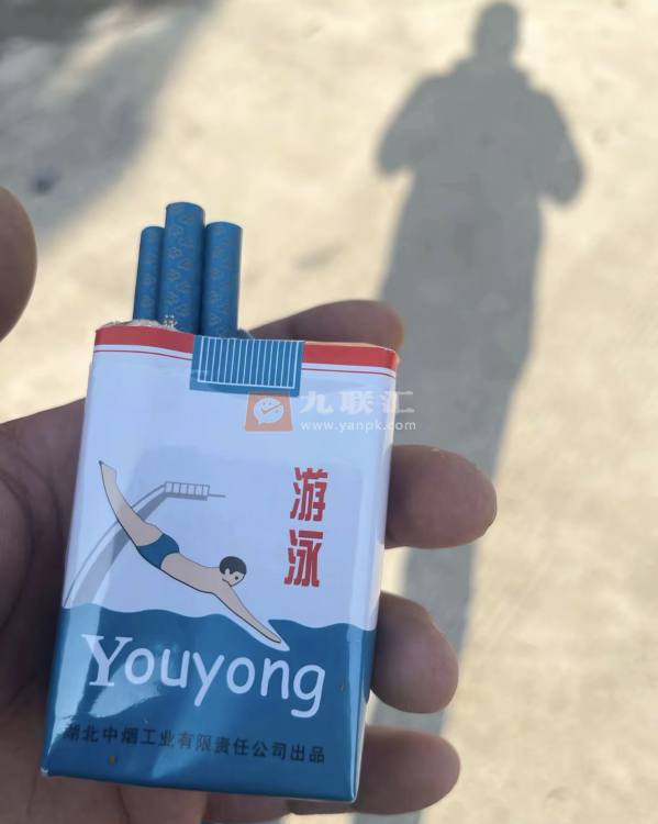 游泳(软)相册 2933_75574