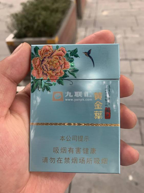 黄金叶(牡丹国色双中支)相册 105014_30017