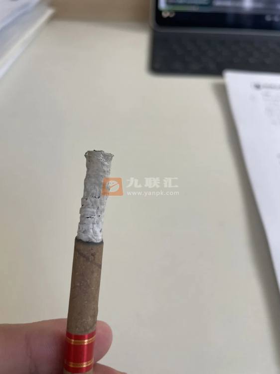 长城(毛氏雪茄13号)相册 92929_22821