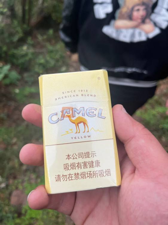 骆驼硬相册 27096_46677