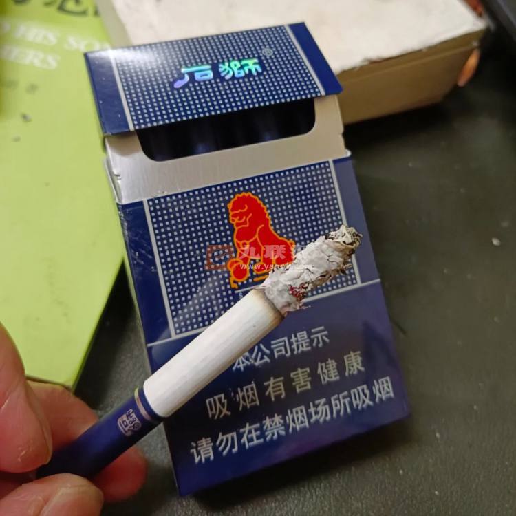 石狮(平安)相册 1163_60910