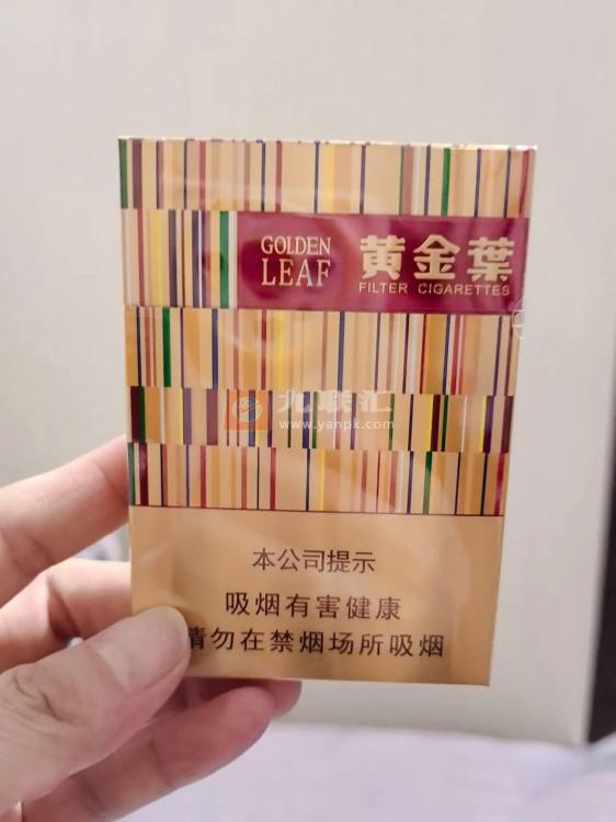 黄金叶(黄金中支)相册 94078_30860