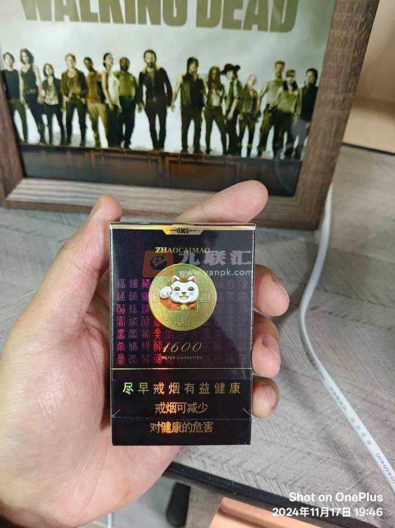 好猫招财进宝1600相册 92678_37073