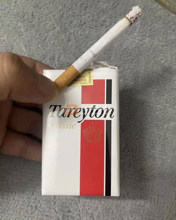 泰瑞登(软经典美版)相册 100368_12856