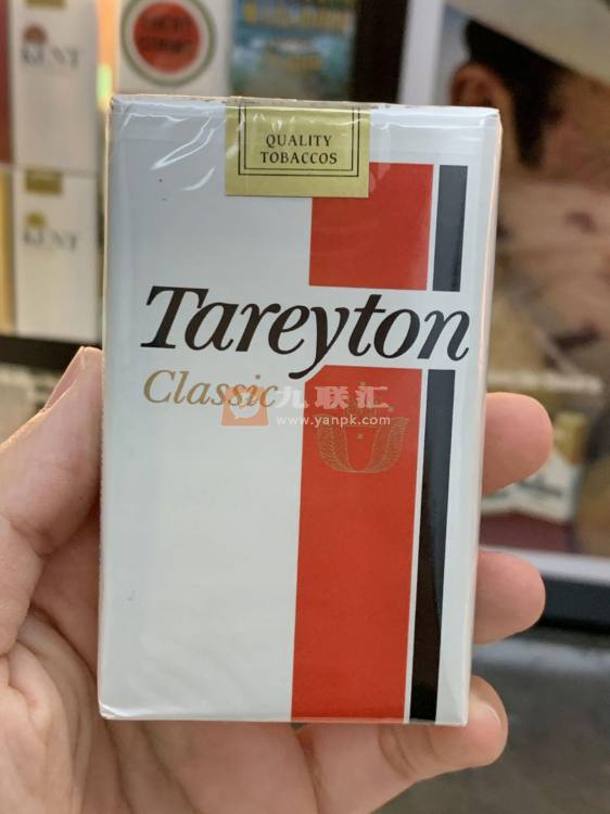 泰瑞登(软经典美版)相册 100368_17250