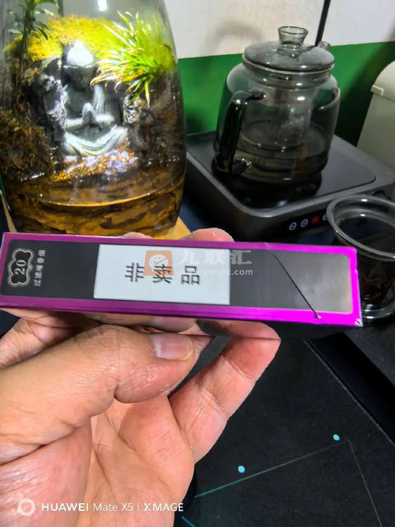 茶花(黑细支)相册 95044_51951