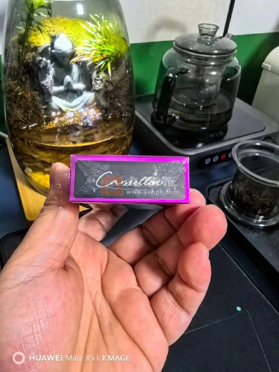 茶花(黑细支)相册 95044_12348