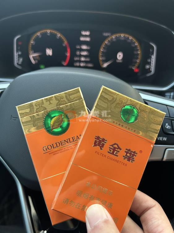 黄金叶(大成细支)相册 114973_37460