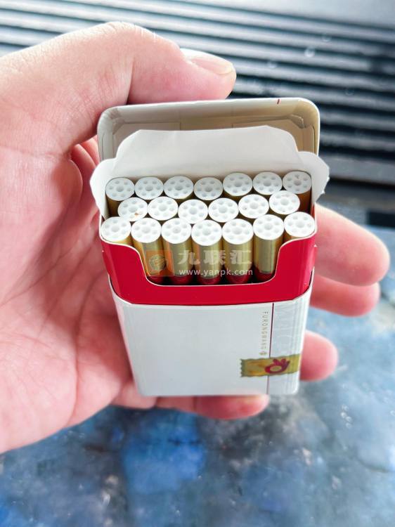 芙蓉王(锦绣)相册 115083_22524