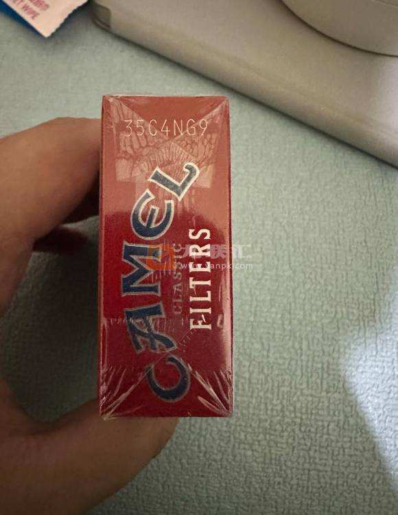 骆驼(硬黄土耳其&美国版)相册 102151_26528