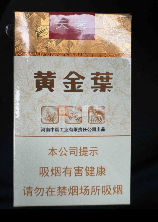 黄金叶(软天叶)相册 106395_52228