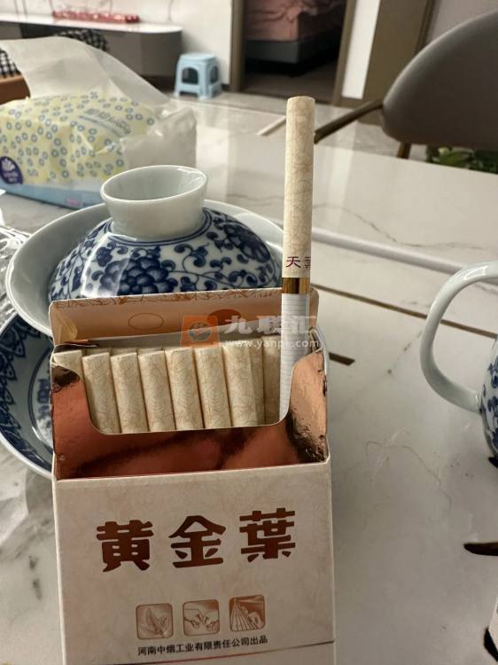 黄金叶(天叶细支)相册 3197_14498