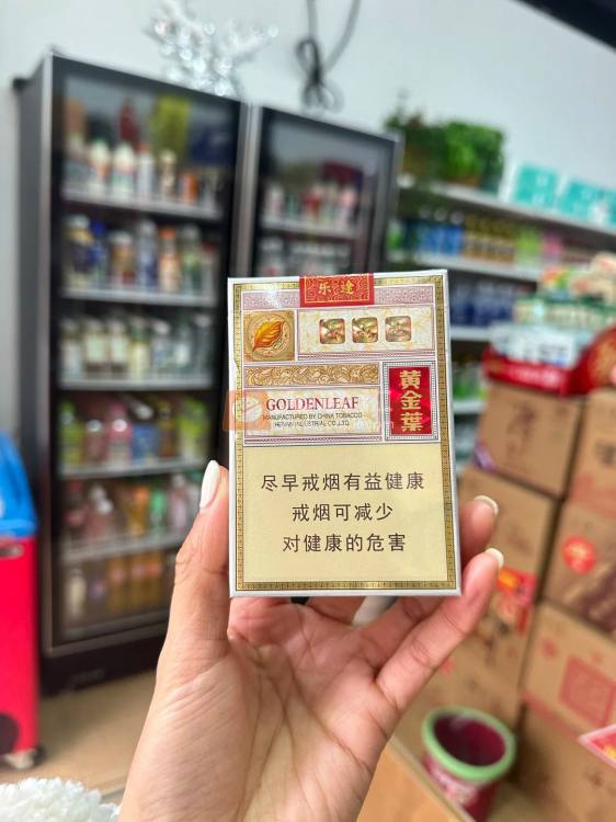 黄金叶(乐途中支)相册 95851_39143