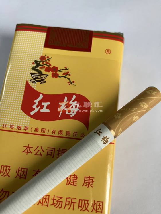 红梅(软黄)相册 333_77925