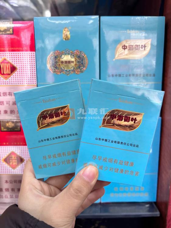 泰山(中海御叶双中支)相册 100075_28338