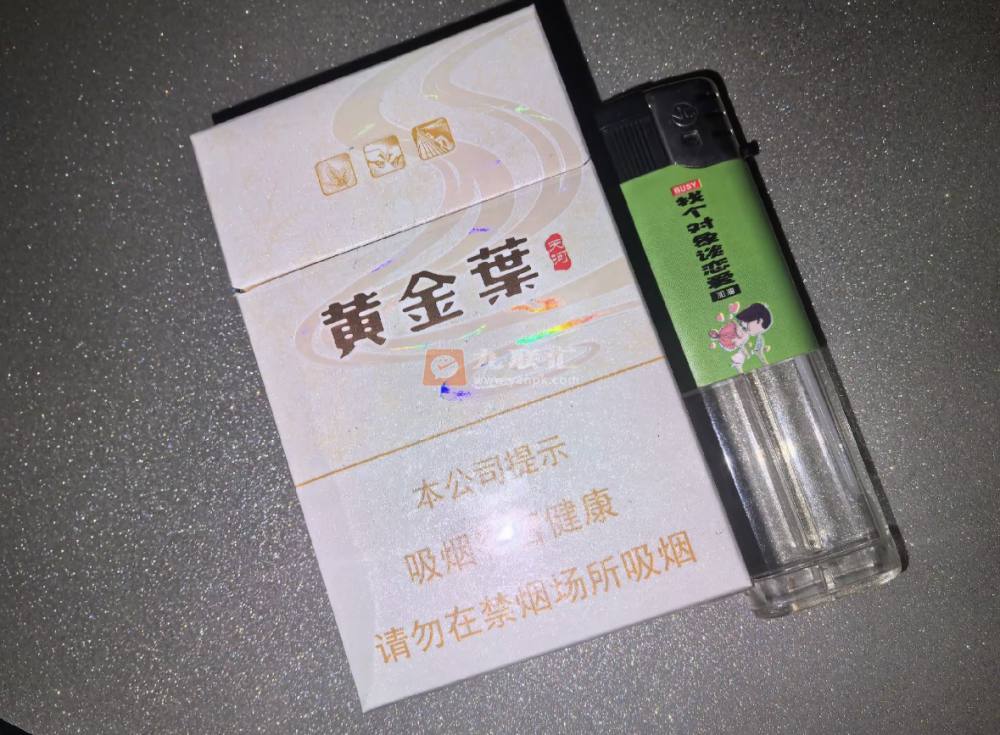 黄金叶(天河)相册 93698_54082