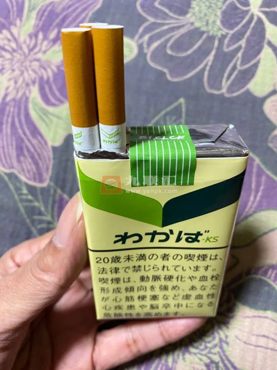 嫩叶(日税版)相册 94664_99055