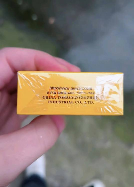 贵烟(金百合)相册 93787_12312