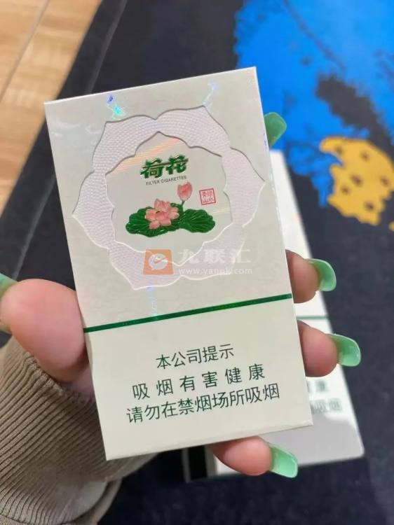 荷花绿水青山相册 93771_89354