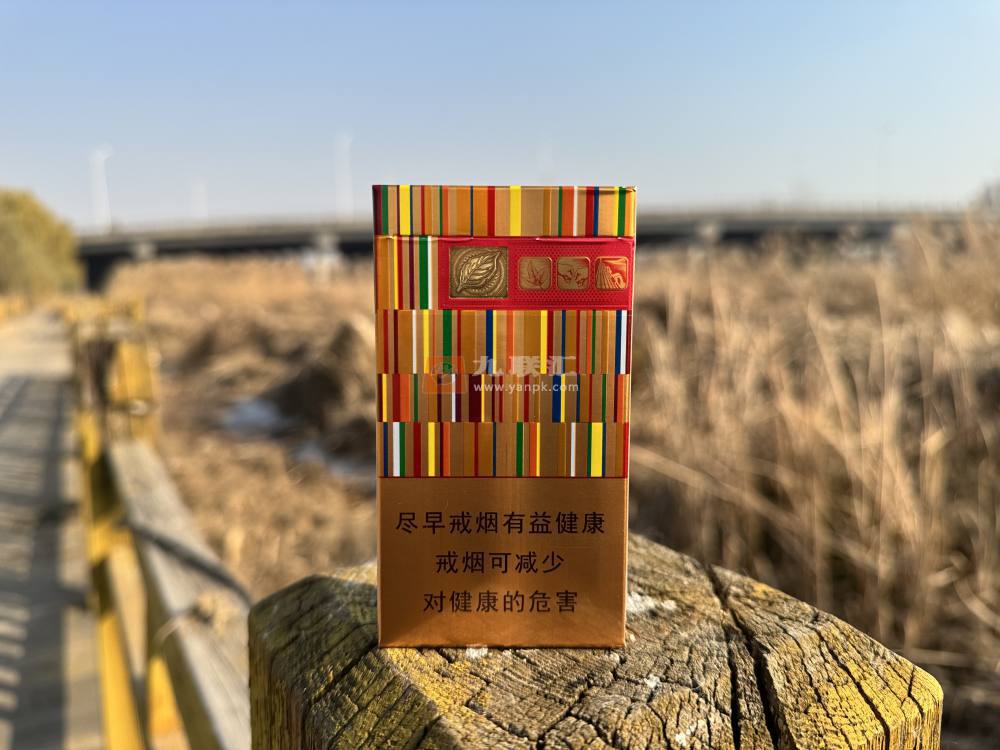 黄金叶(金炫尚)相册 103101_64788