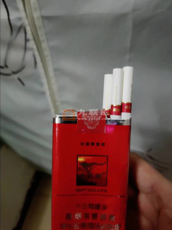 七匹狼(软红1995)相册 1621_37666