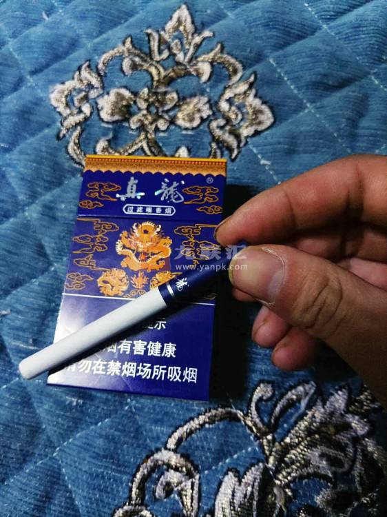 真龙(娇子)相册 1314_26419