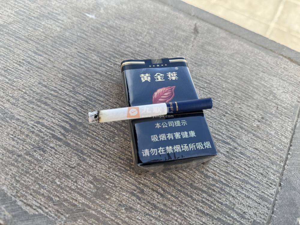 黄金叶(盛世金典)相册 301_57488