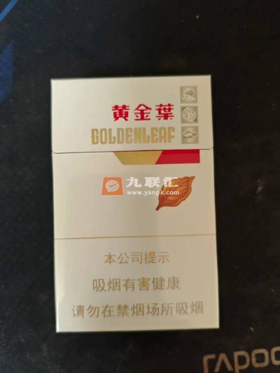 黄金叶金丝路相册 92605_17608